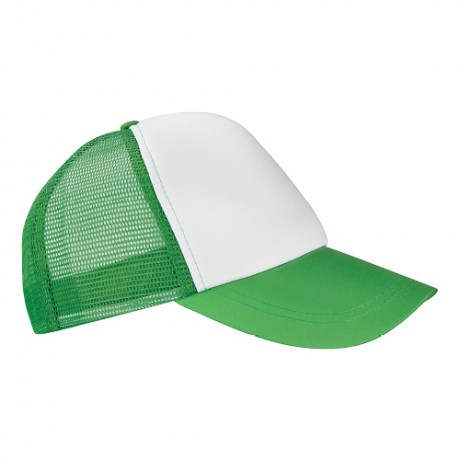 CAP-004-V